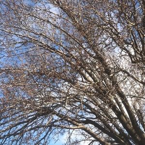 Meet your Posher, Reed